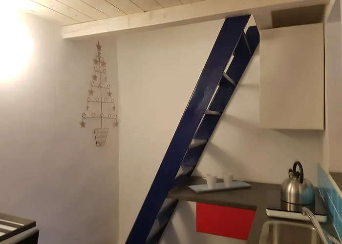 Flat Tribunali