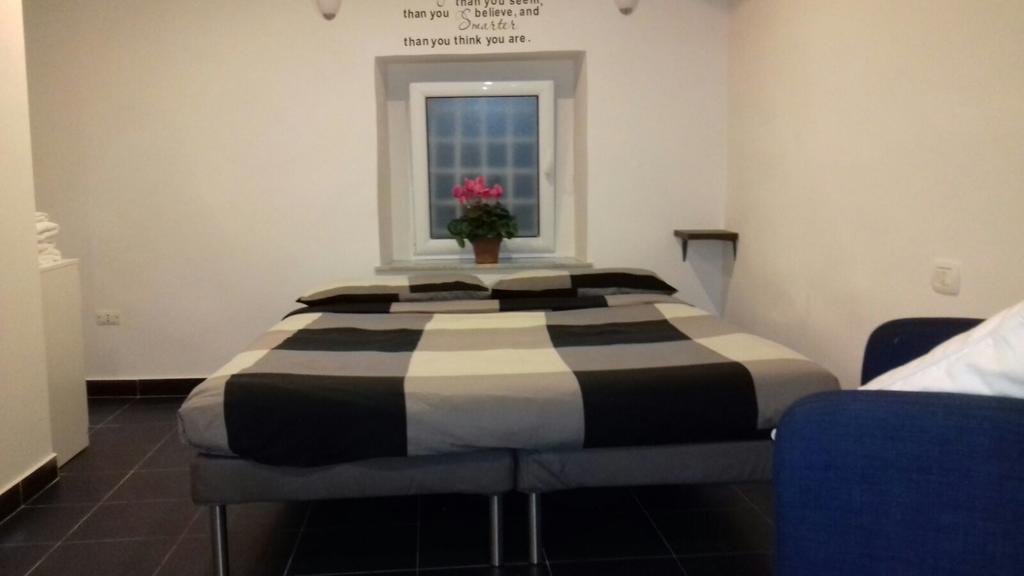 Flat Tribunali
